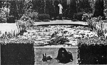 Waseeka's Gwyneth and Waseeka's Peggy besid a lily pond on the Power estate