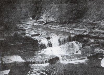 waterfall at Edenglen